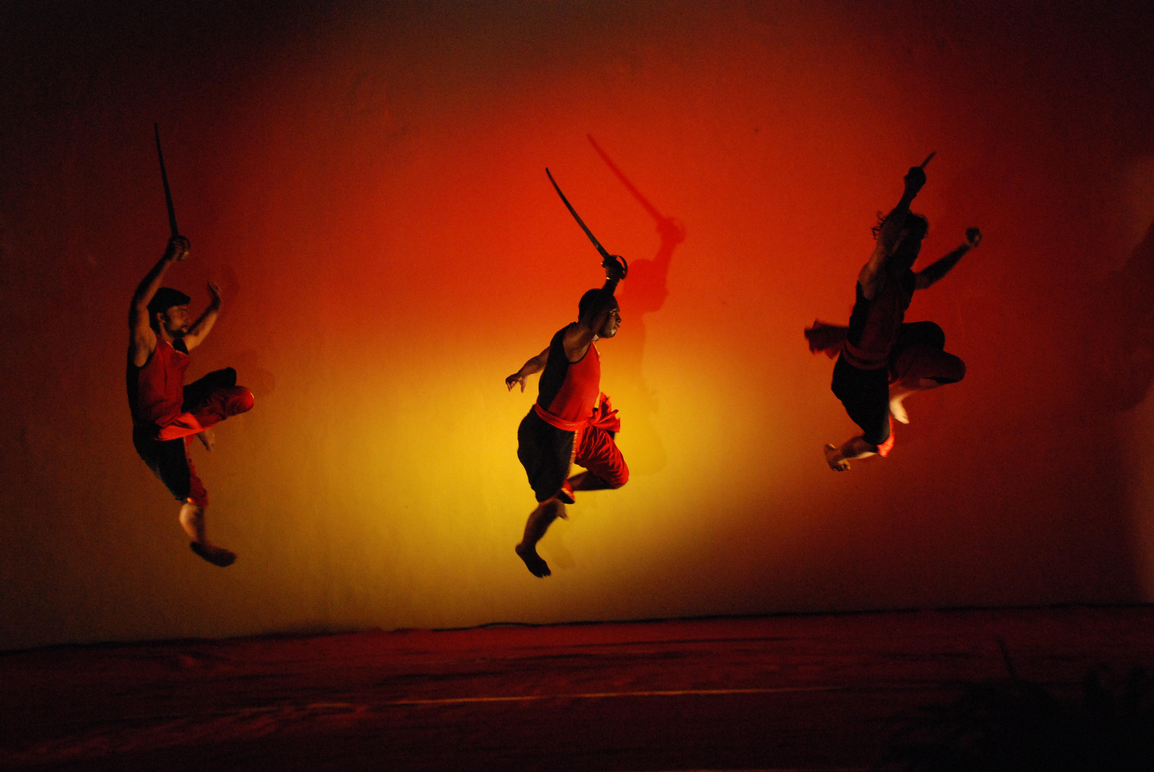 Kalari Gurukulam photo 16